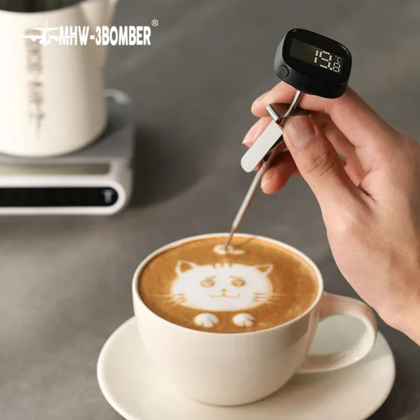 instant thermometer read digital